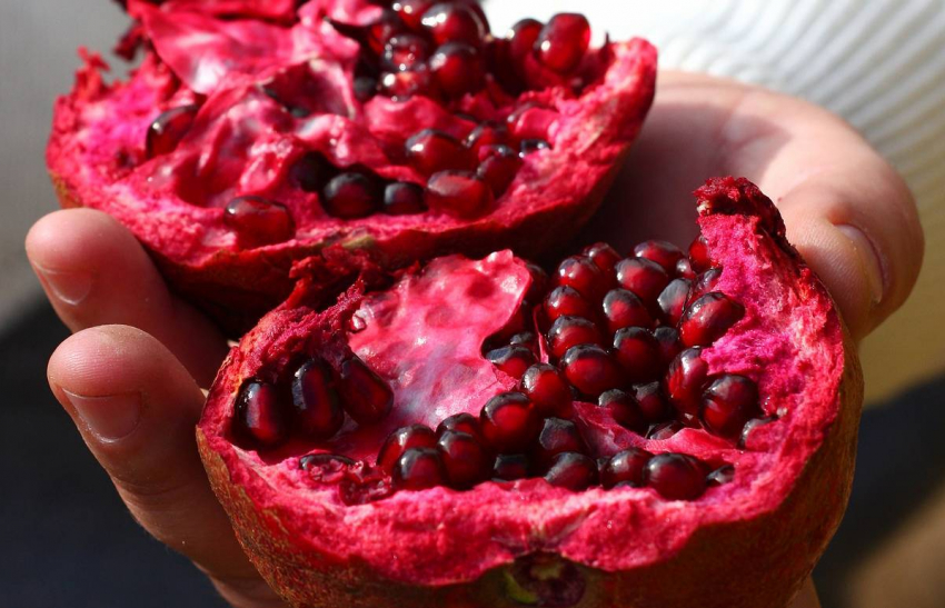 В Новороссийск пытались ввезти заражённые гранаты