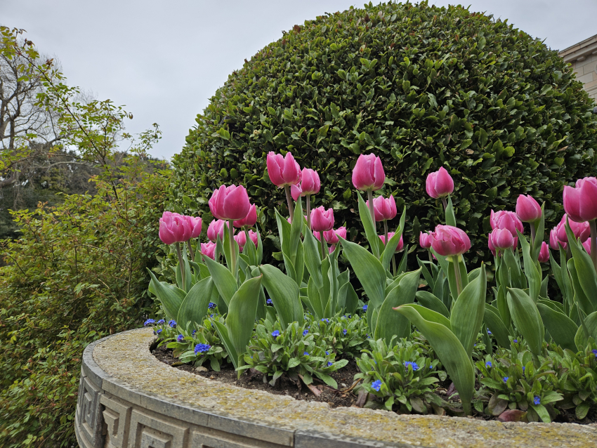 Гороскоп от «Блокнота»: Близнецам слушать только себя, а Скорпионам учиться доверять  