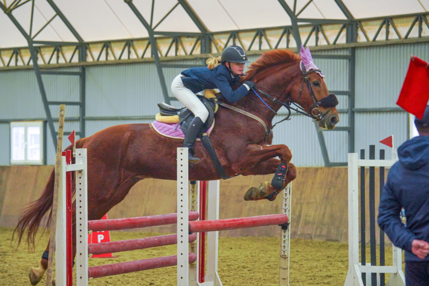 В честь 23 февраля в конно-спортивной школе “Пегас” близ Новороссийска пройдут городские соревнования