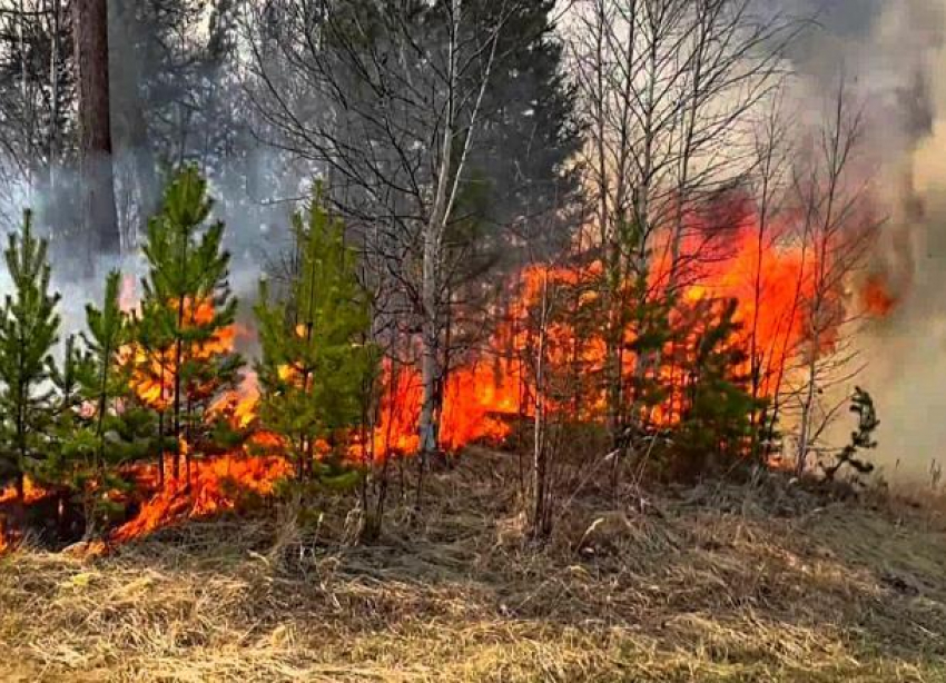 В Новороссийске объявлен высший класс пожароопасности