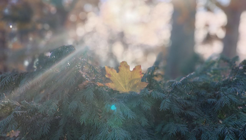 Из «минуса» в «плюс»: чего ждать от погоды в Новороссийске