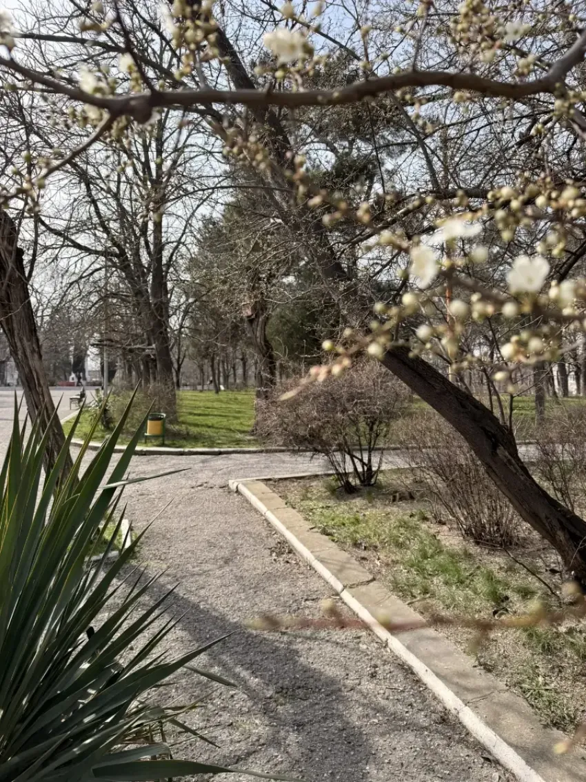 На утреннюю прогулку захватите зонтик