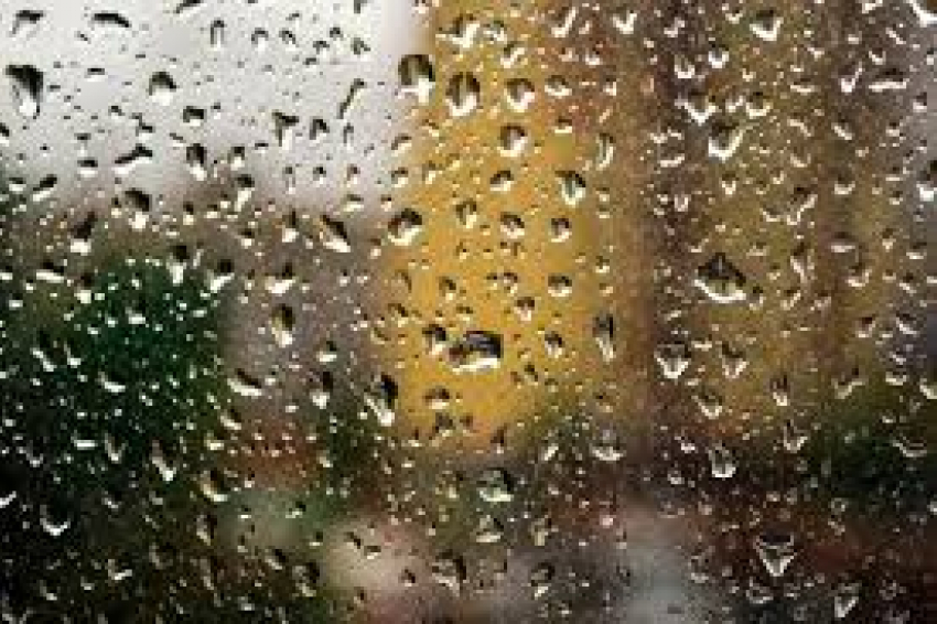 Дождливую погоду синоптики обещают новороссийцам во вторник