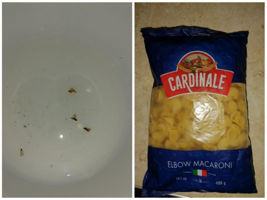 "Сюрприз» от производителя: новороссийцы нашли мух в макаронах 