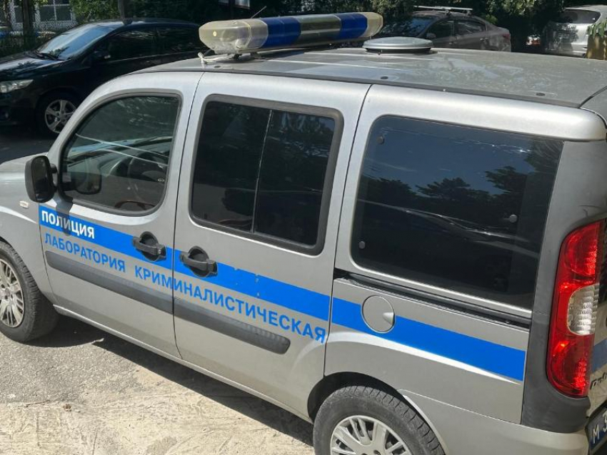 Украденный телефон из тележки в магазине Новороссийска «потянет» на 5 лет