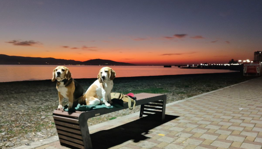 Гороскоп от «Блокнота»: Козероги – доверьтесь интуиции, Раки - общайтесь