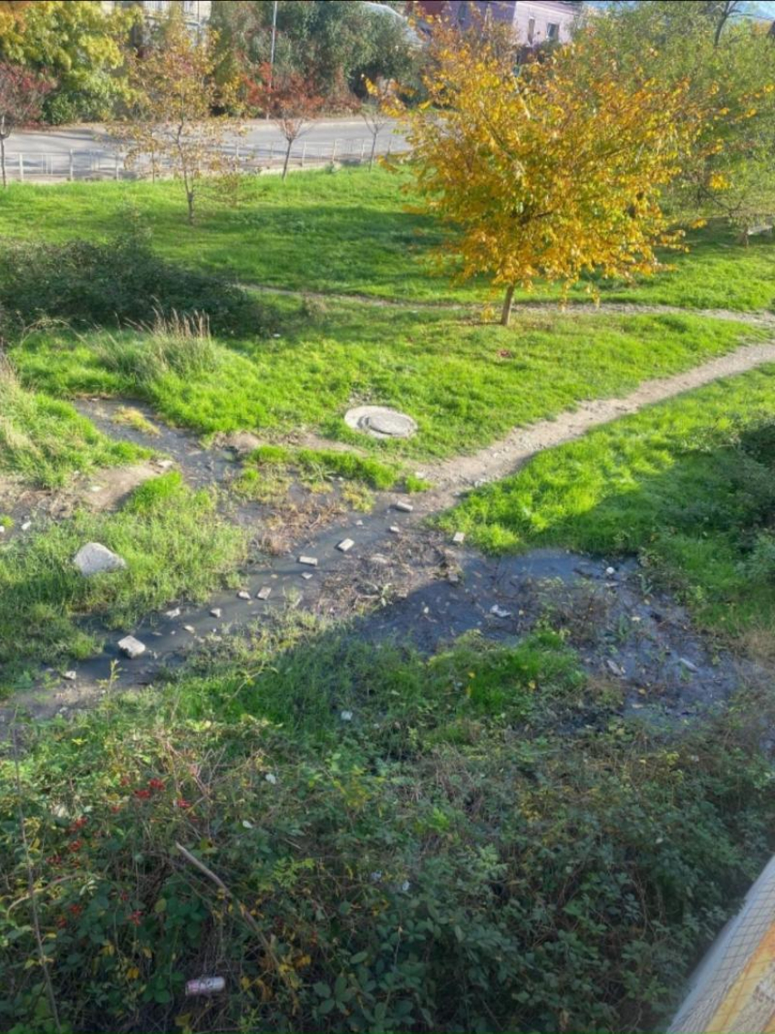 Фекальные реки на детских площадках портят Новороссийск