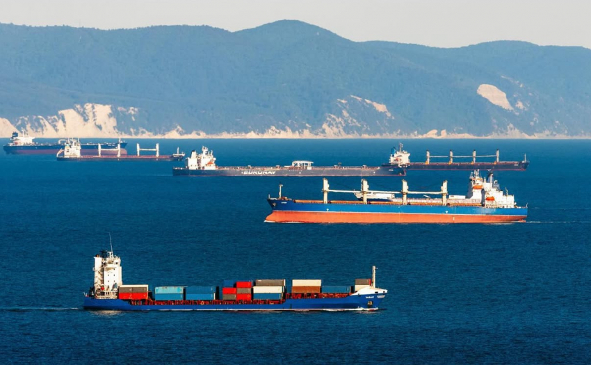 В порту Новороссийска обнаружили опасных «пассажиров»