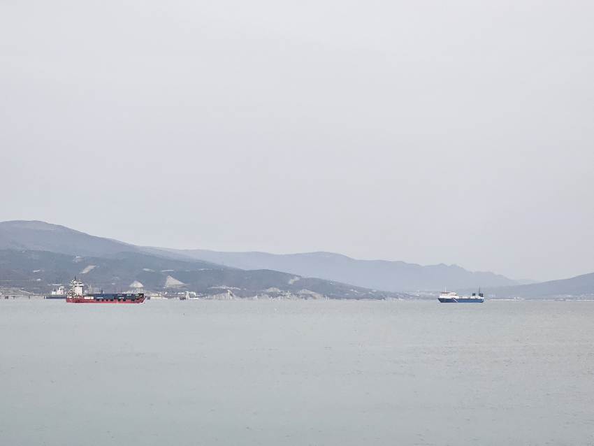 Цена ударила по кошельку: доставка нефти из Новороссийска взлетела до небес