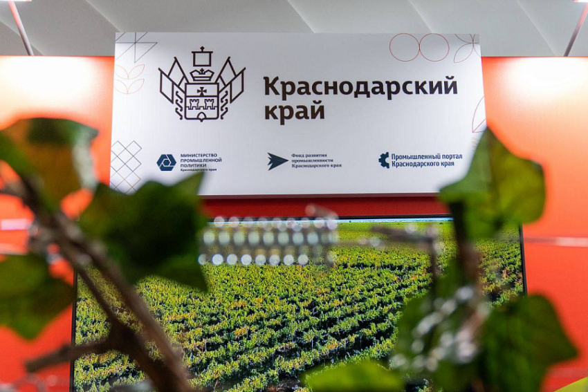 Новаторы из разных стран соберутся в Краснодарском крае: Международный форум «БИОПРОМ» пройдет в Геленджике