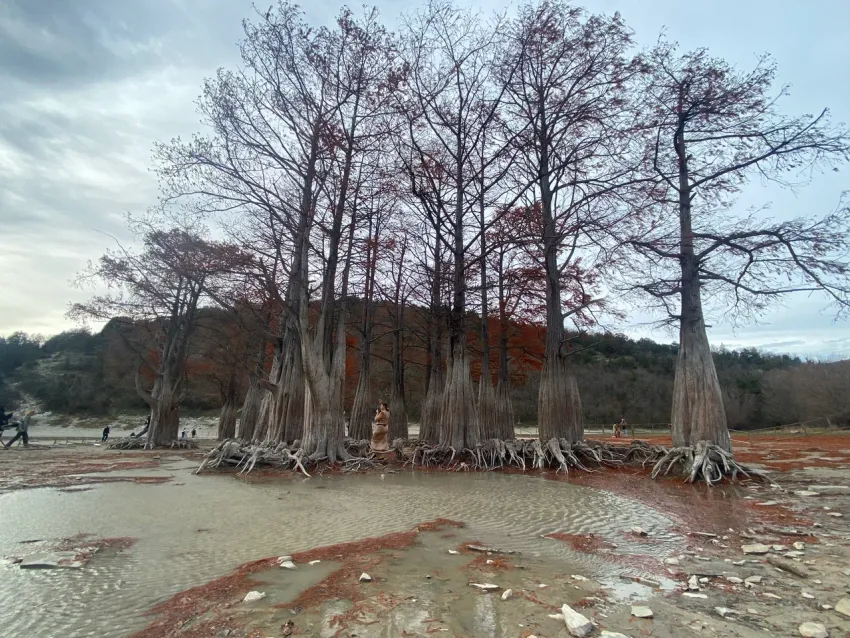 Погода в Новороссийске: мрачный и ветреный день 