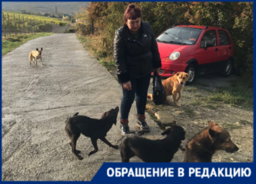Обратная сторона истории с собакой в СНТ «Родничок» Новороссийска, теперь уже от лица хозяйки