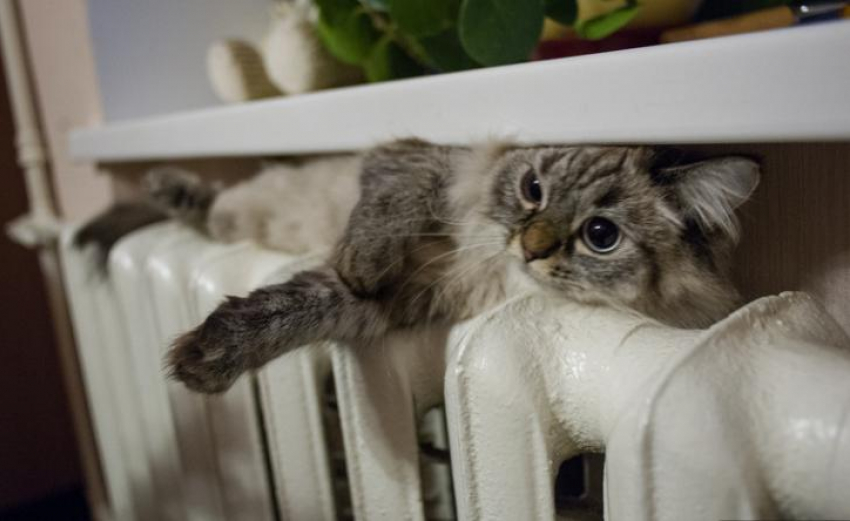 Во многих квартирах опять будет холодно: в Новороссийске снизили параметры тепла