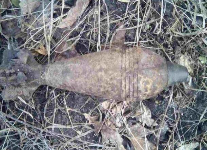Два боеприпаса времен ВОВ обнаружены под Новороссийском