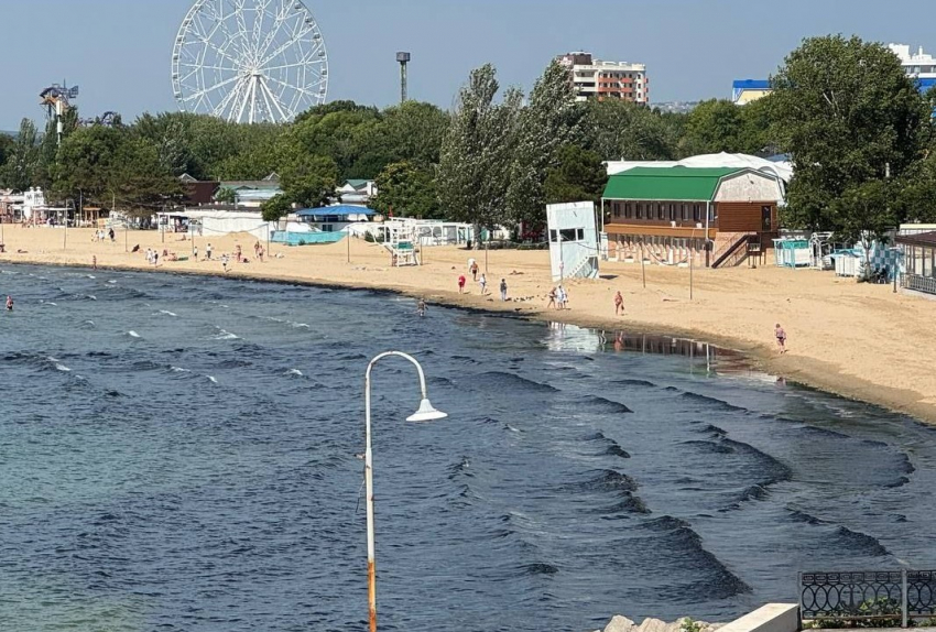 Это не мазут! Оперштаб Краснодарского края отрицает наличие нефтепродуктов в водорослях на пляжах Анапы