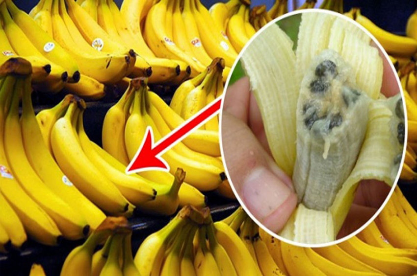 Коронавирус в бананах: стоит ли бояться новороссийцам