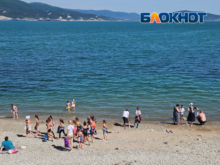 Море задохнется: что случится с Черным морем при атаке на газопровод «Турецкий поток»