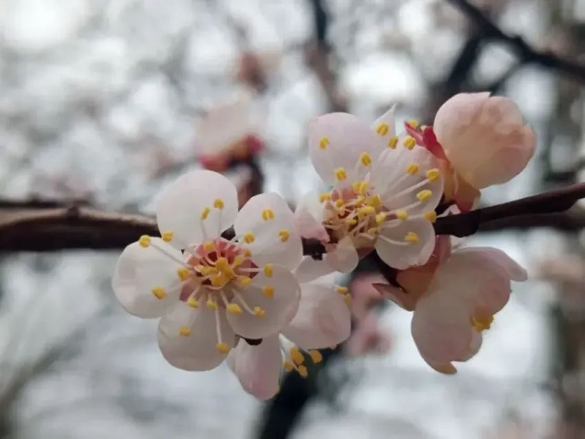 В Новороссийске свет победил тьму: прогноз погоды и важная дата