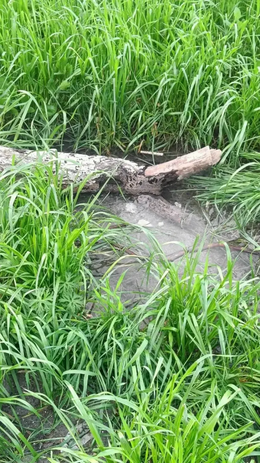 Допросились: жара накрыла Новороссийск