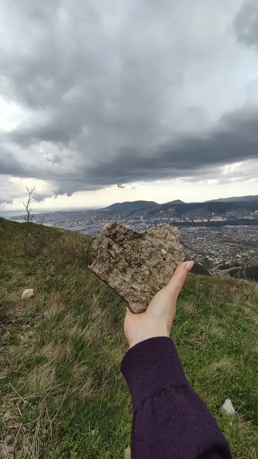 Тельцам звезды советуют завершить начатое, а Весам – избегать перегрузок