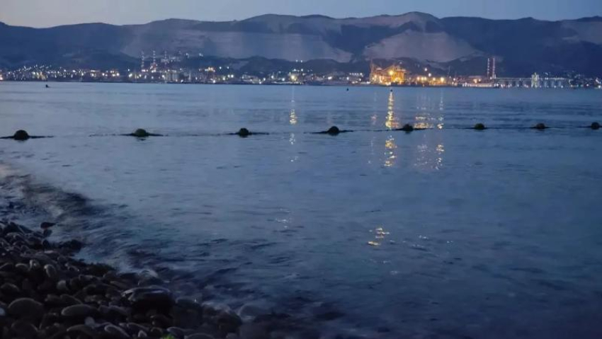 День знаний с солнцем: какой будет погода в Новороссийске 1 сентября