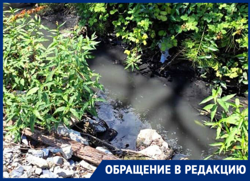 "Не наша компетенция": отдел экологической безопасности о сливе канализации в Южной Озереевке