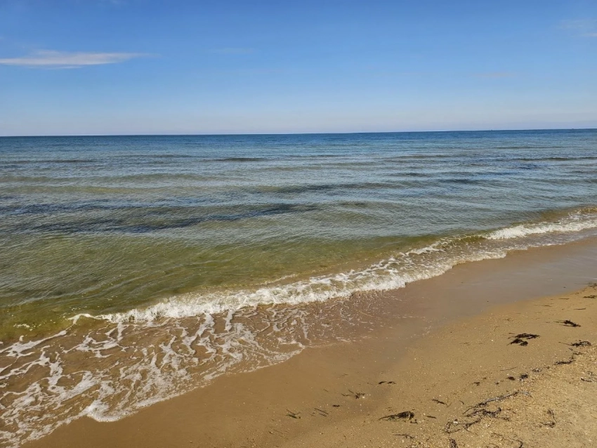 Детям купаться можно: пляж детского курорта в Анапе получил положительное заключение Роспотребнадзора