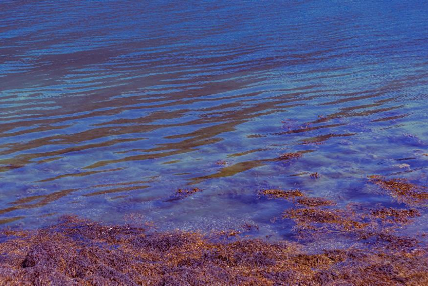 Погода в Новороссийске: вода в море будет словно парное молоко