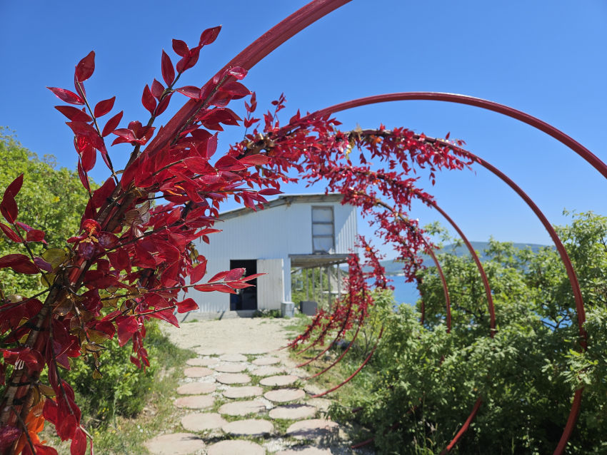 Погода в Новороссийске: сегодня «сюрпризов» не будет – время отдыхать у моря настало