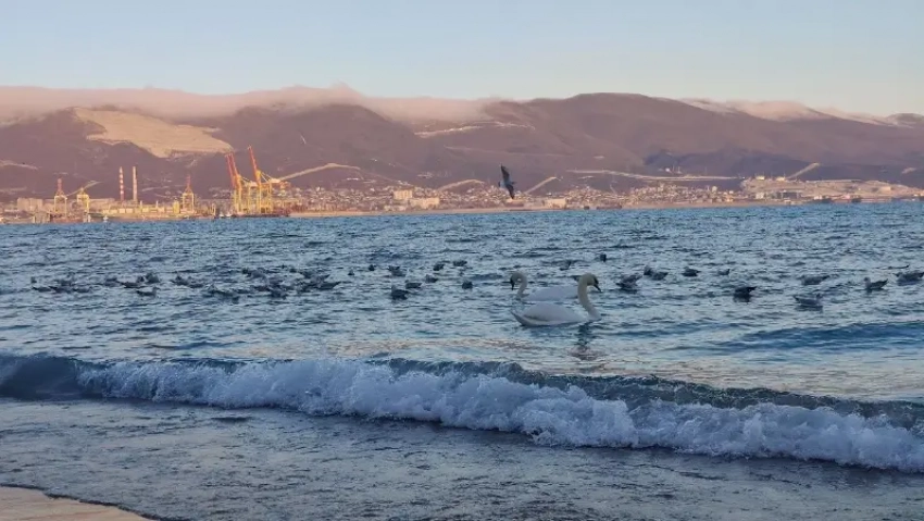 Зима вернулась в Новороссийск: в городе холодно и ветрено