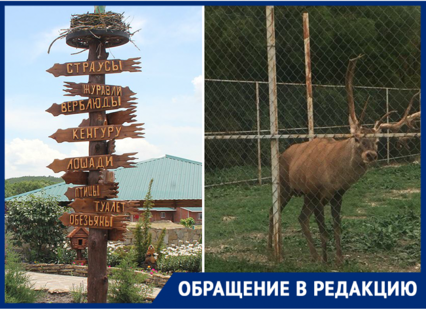 "Воет то ли от голода, то ли от боли": посетители зоопарка в Натухаевской переживают за животных 