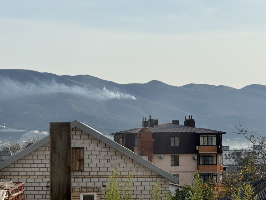 В Новороссийске горит лесной массив 