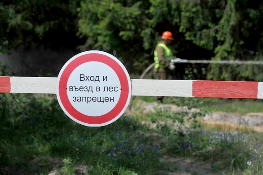 Перекроют дороги и создадут контрольно-пропускные пункты: почему новороссийцам запретили ходить в лес 