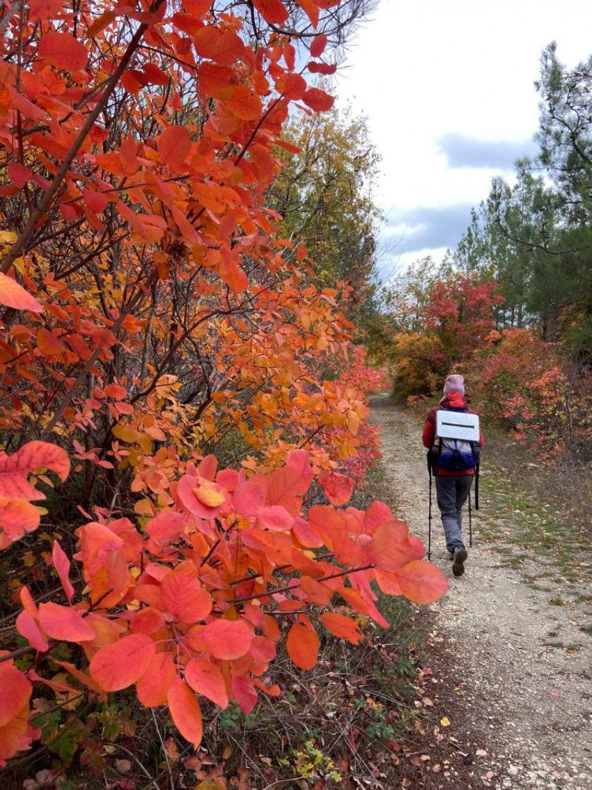 Топ-3 пешеходных осенних маршрута недалеко от Новороссийска