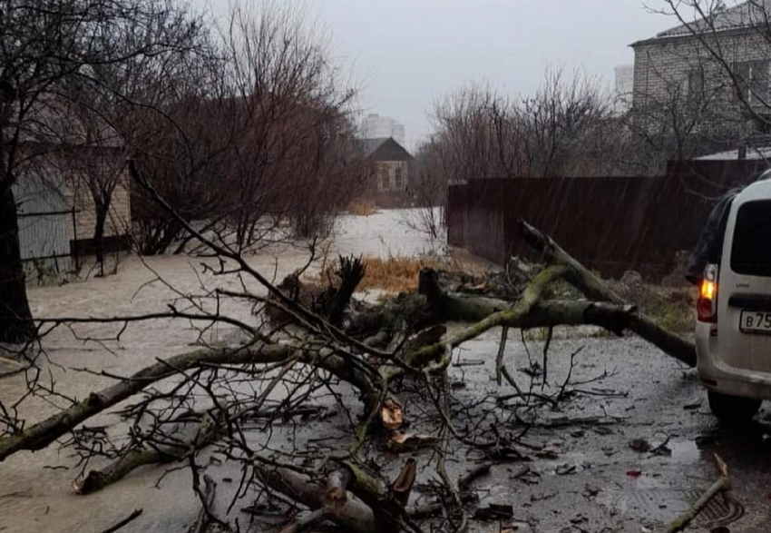 Из-за ливня в Новороссийске развернули эвакуационные пункты