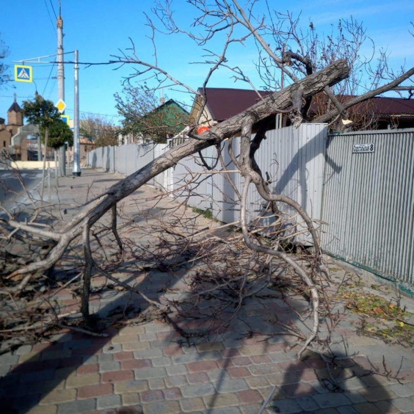Штормовое предупреждение и первые последствия стихии в Новороссийске