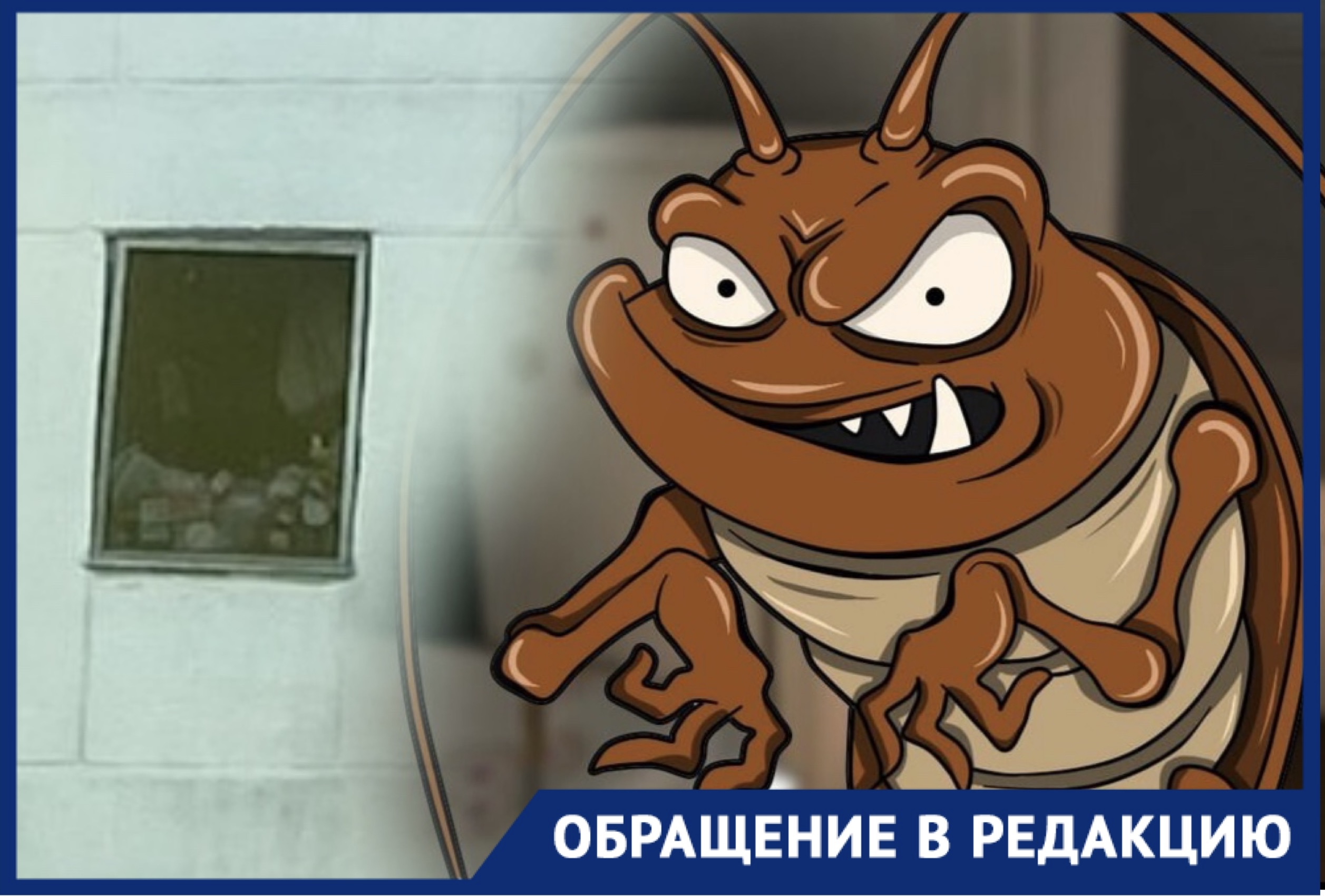 Страшно представить, что творится за дверью: жительница Новороссийска о  соседке, устроившей антисанитарию в подъезде