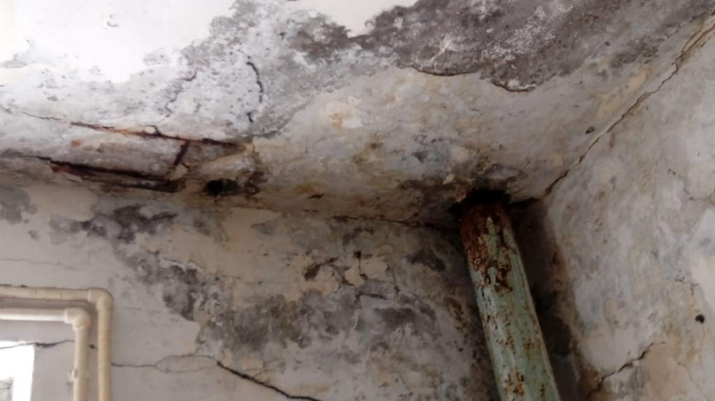 WhatsApp Image 2021-04-27 at 16.58.28.jpeg WhatsApp Image 2021-04-27 at 16.58.28.jpeg