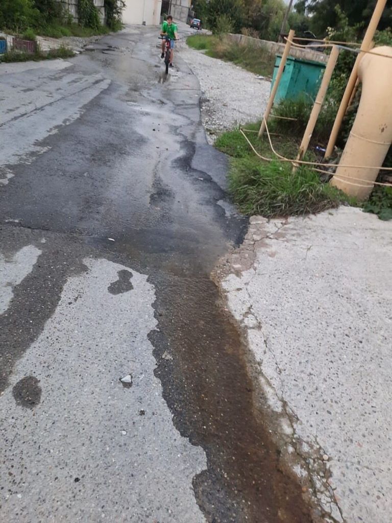 слив.jpg слив.jpg