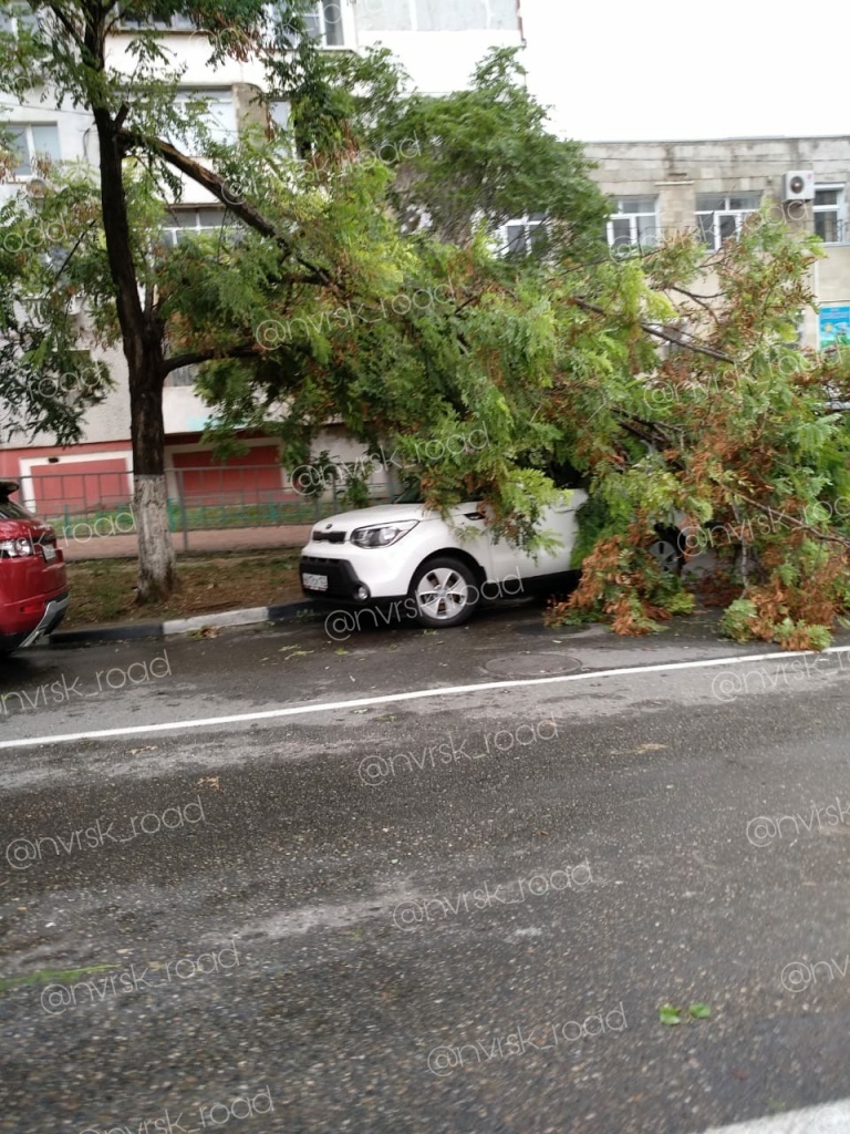 Унесло в море автобус, затопило улицы и дома: последствия ливня в  Новороссийске