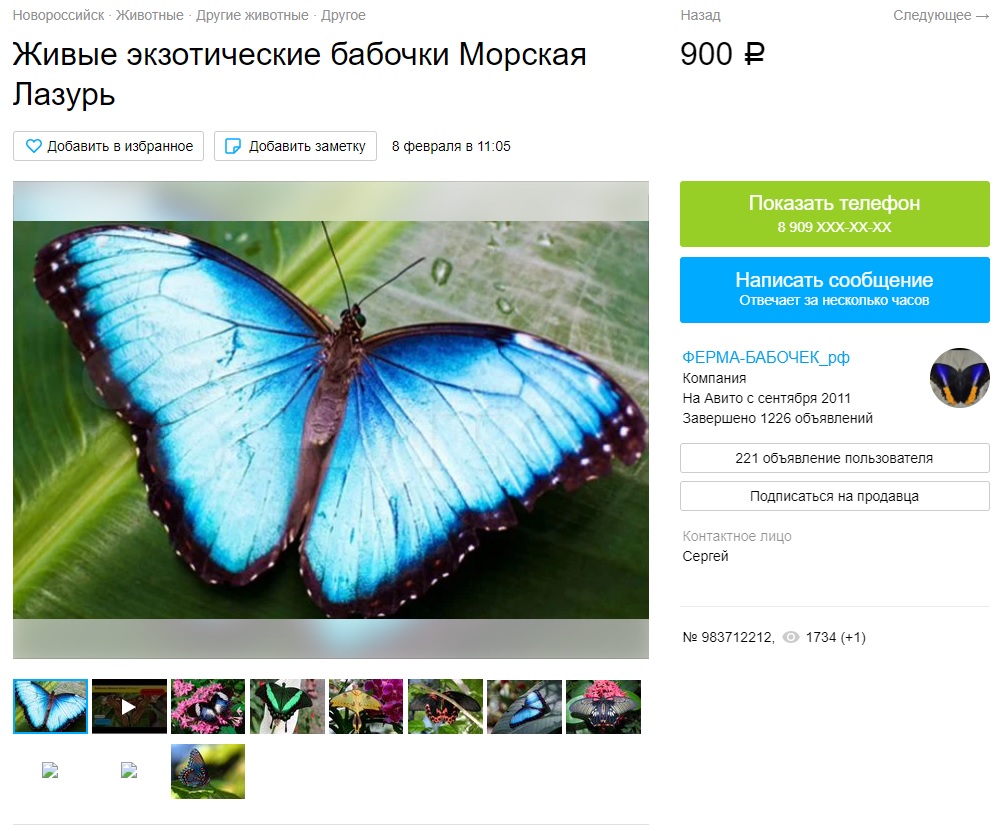 бабочка2.jpg