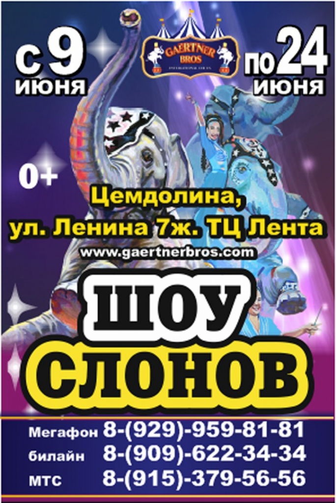 слоны.jpg