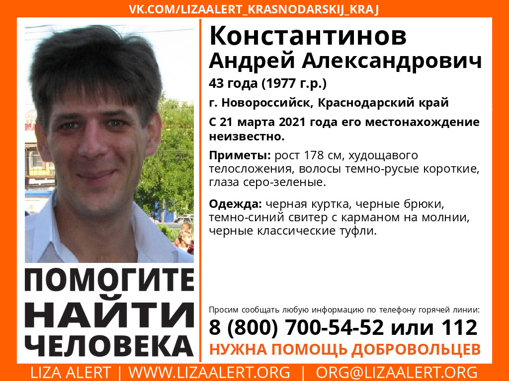 константинов лиза алерт.jpeg