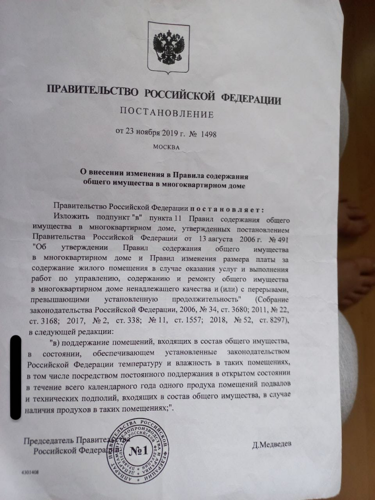 Замурованные бездомные животные — что не так с закрытыми продухами в  Новороссийске