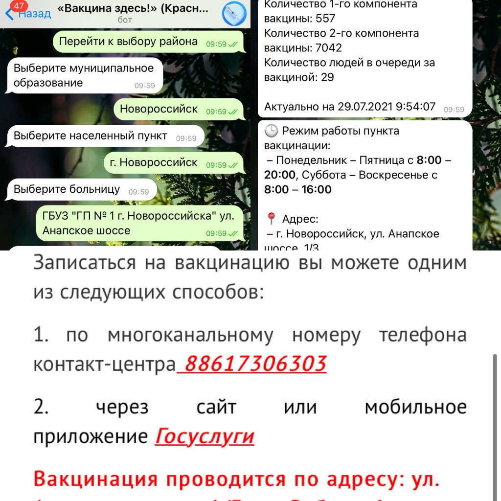 У новороссийцев появилась возможность с помощью чат-бота Telegram сделать  процесс вакцинации от COVID-19 более удобным