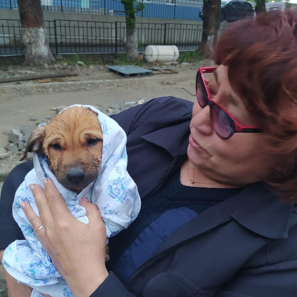 101076986_263662248073357_9201401093717736859_n.jpg 101076986_263662248073357_9201401093717736859_n.jpg